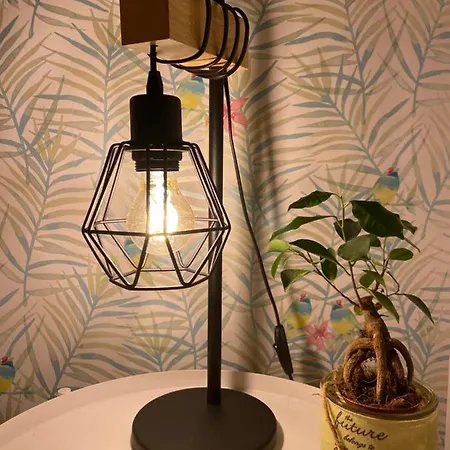 Carol House شقة *