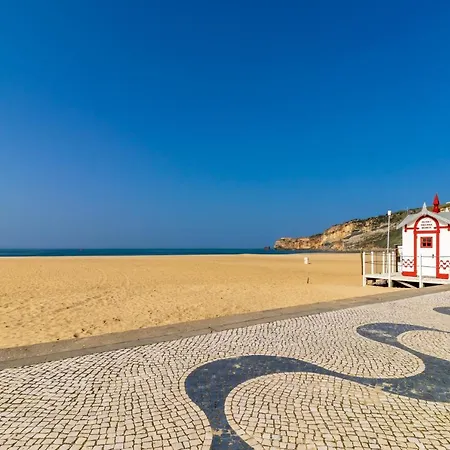 Carol House 아파트 나자레