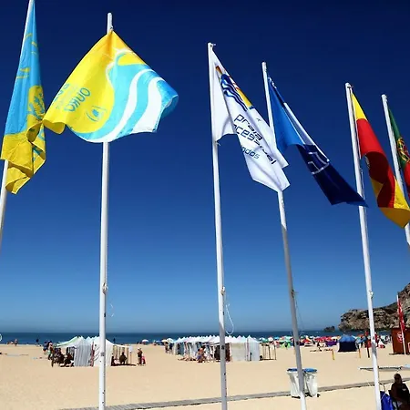 Carol House شقة *